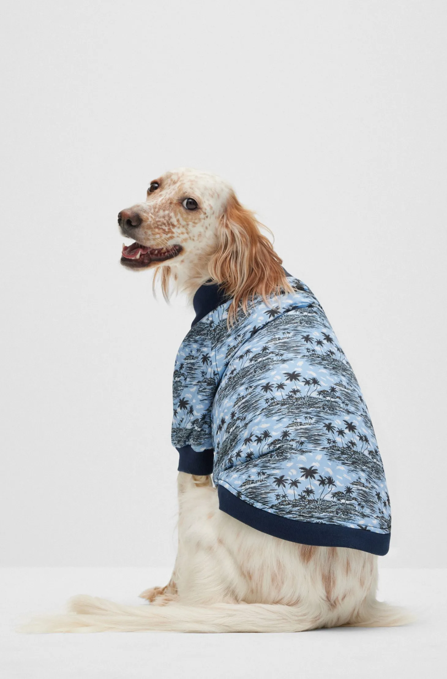 Hunde-Bomberjacke