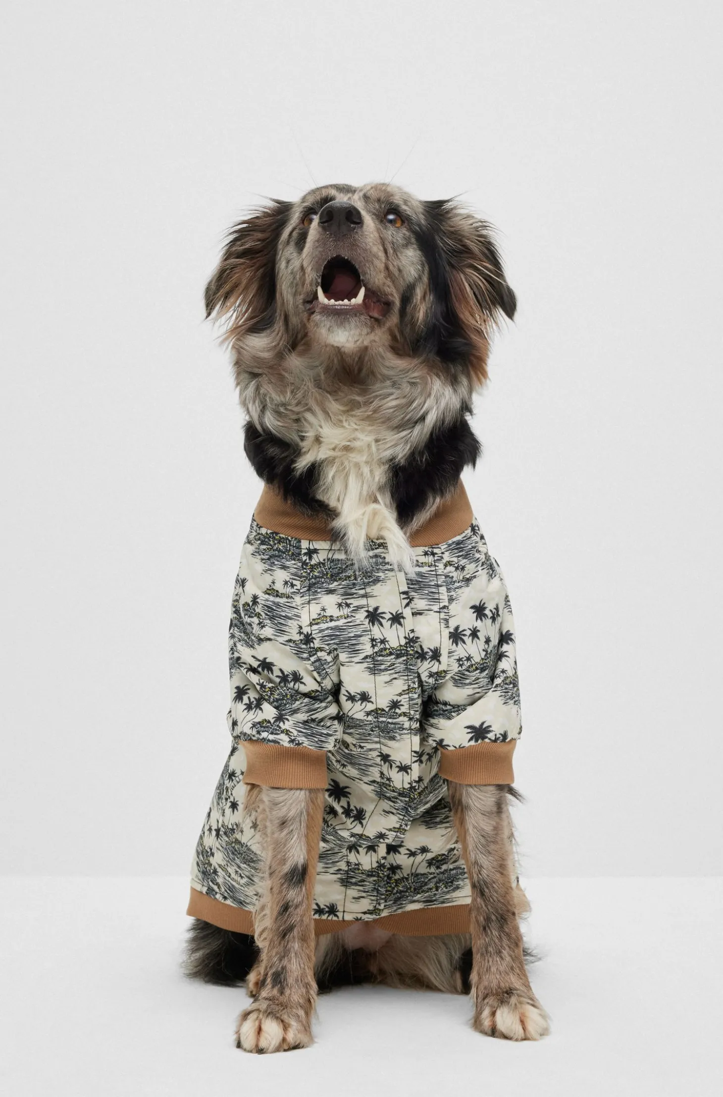 Hunde-Bomberjacke