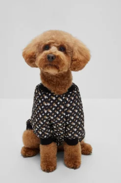 Hunde-Bomberjacke