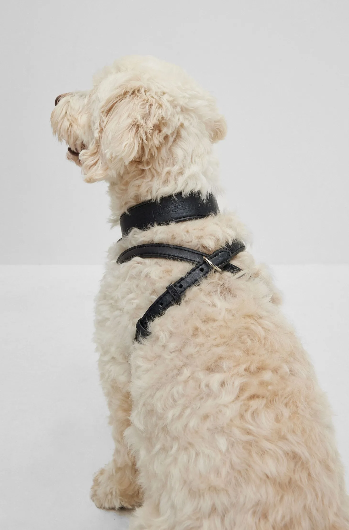 Hunde-Geschirr aus recyceltem Leder