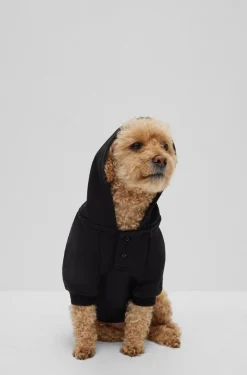 Hunde-Hoodie aus Baumwolle mit Khaby-Lame-Artwork