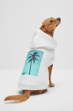 Hunde-Hoodie aus Baumwolle mit Palmen-Print