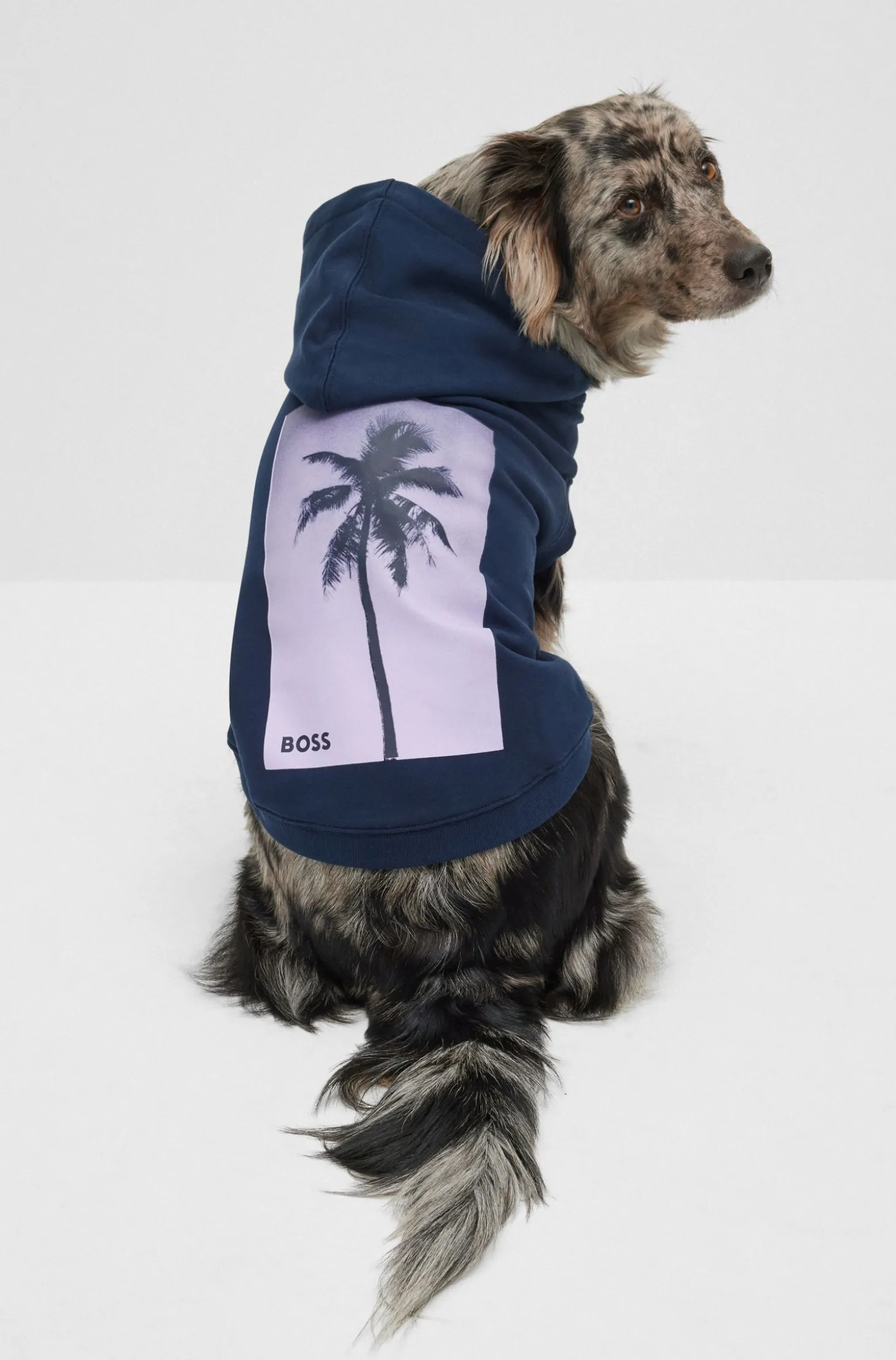 Hunde-Hoodie aus Baumwolle mit Palmen-Print