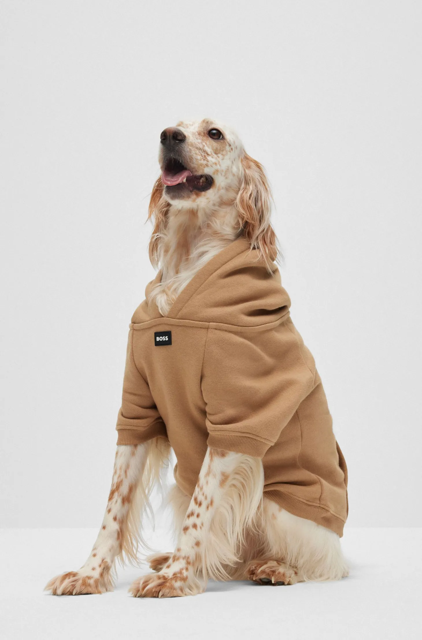 Hunde-Hoodie aus Baumwoll-Mix mit Kontrast-Logo