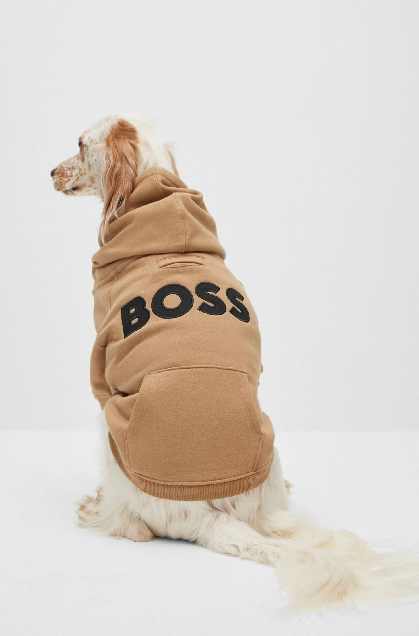 Hunde-Hoodie aus Baumwoll-Mix mit Kontrast-Logo