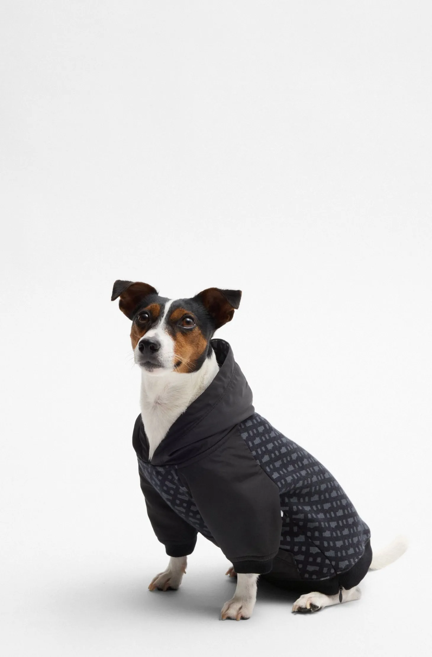 Hunde-Hoodie mit Monogramm-Muster
