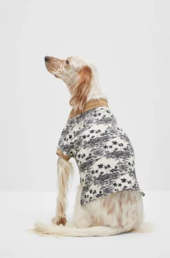 Hunde-Poloshirt aus Baumwolle mit Palmen-Print