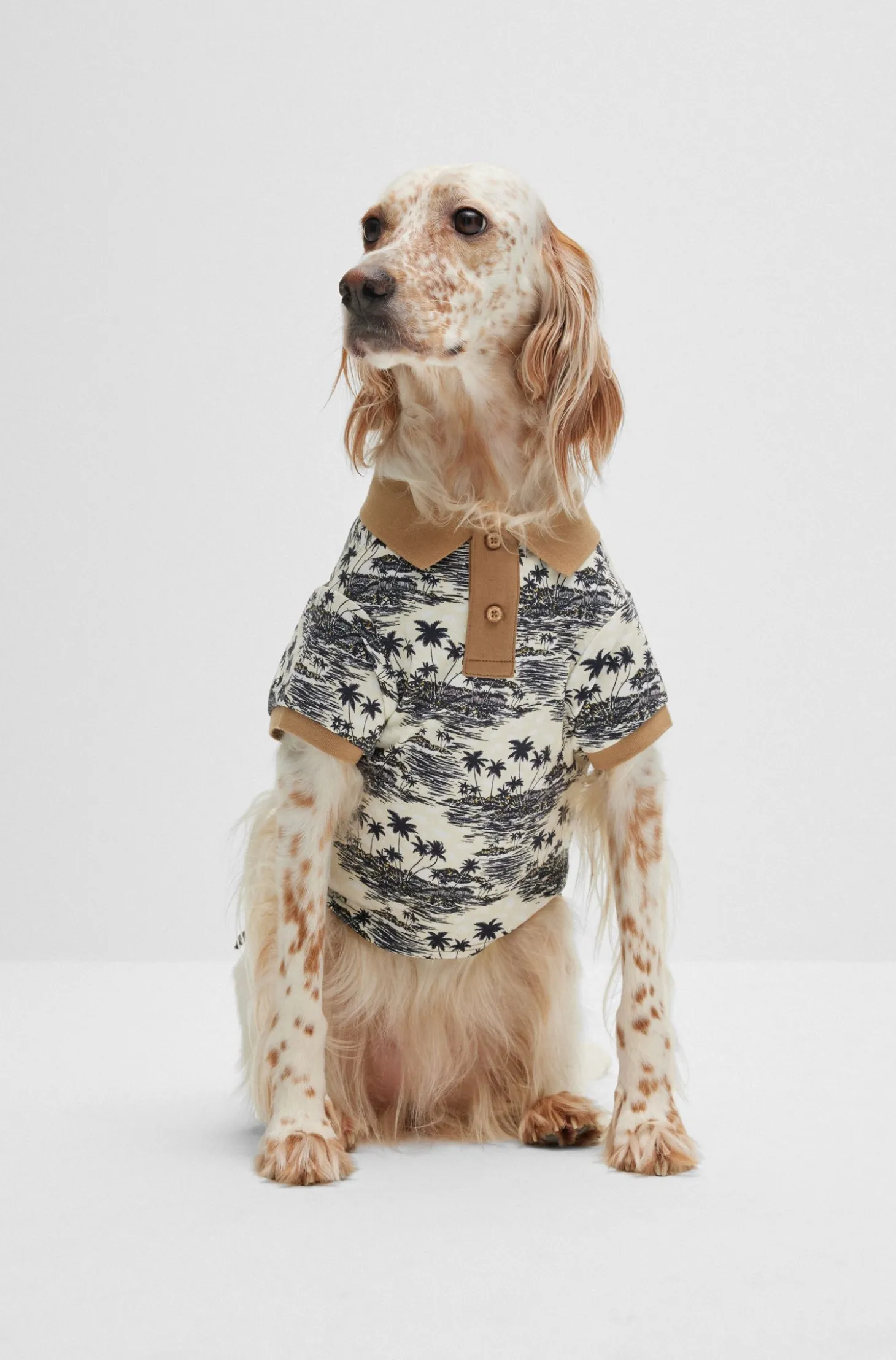 Hunde-Poloshirt aus Baumwolle mit Palmen-Print