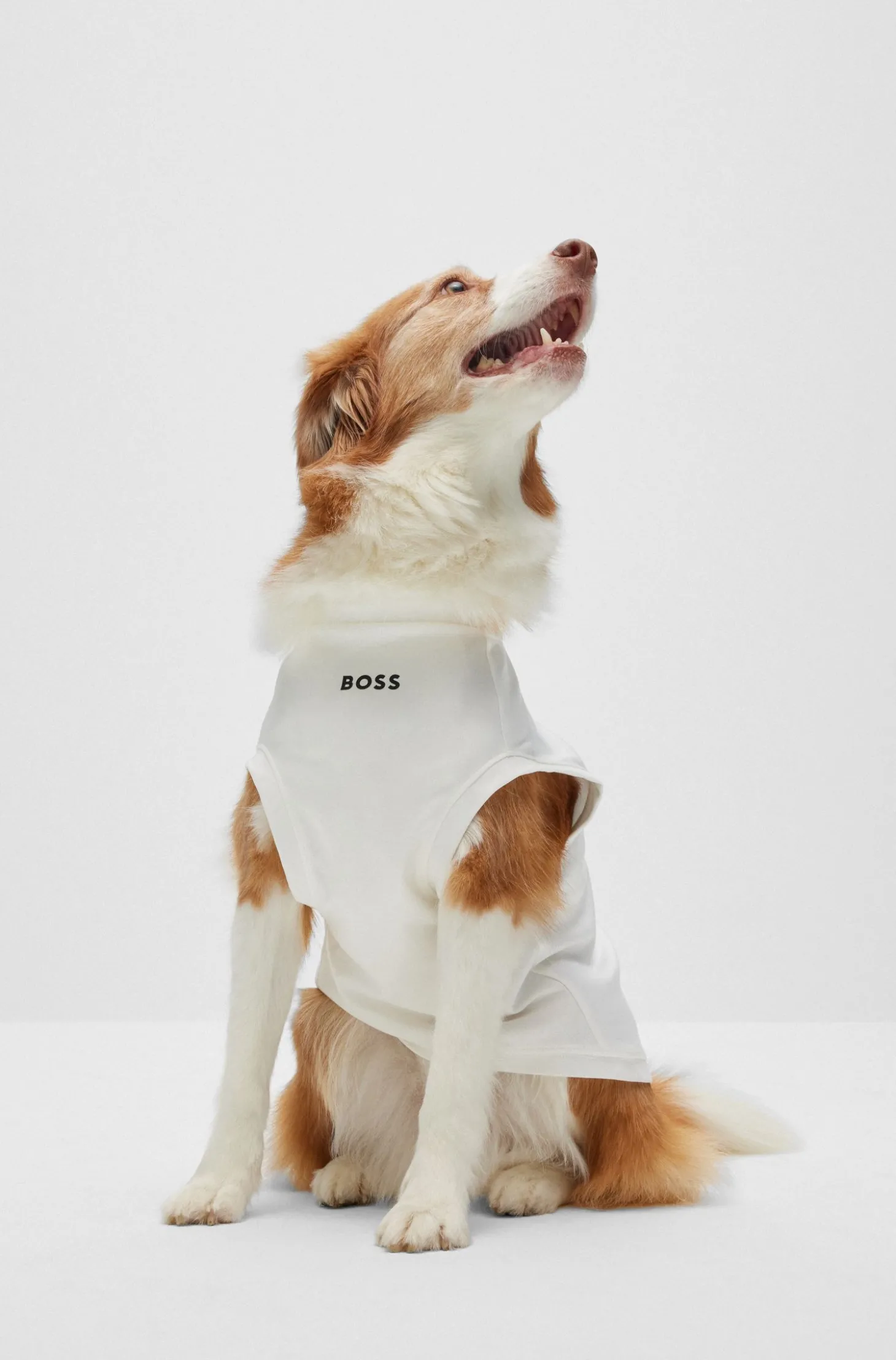 Hunde-T-Shirt aus merzerisierter Baumwolle mit Kontrast-Logo