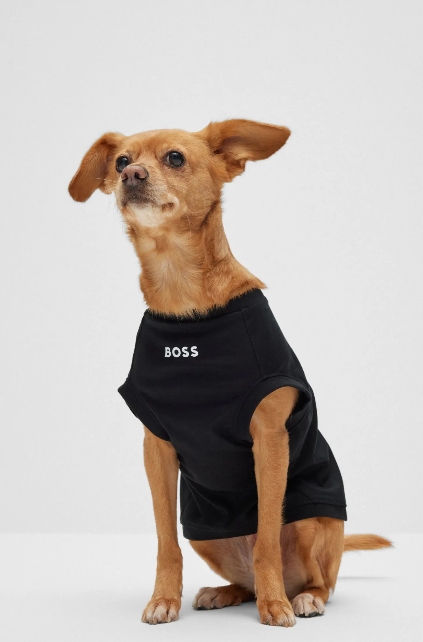 Hunde-T-Shirt aus merzerisierter Baumwolle mit Kontrast-Logo