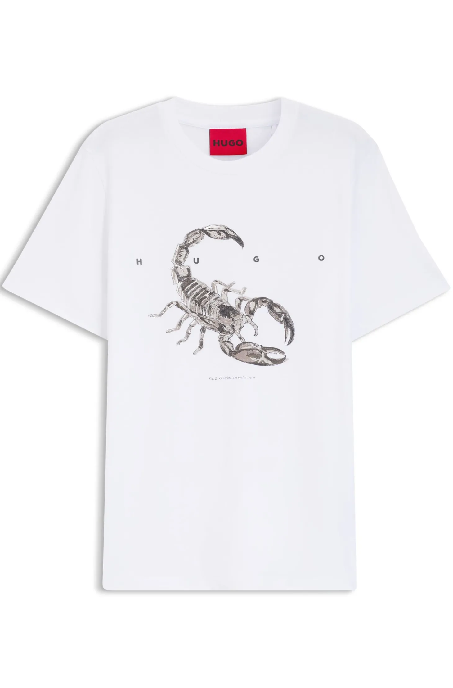 T-Shirt aus Baumwoll-Jersey mit breitem Logo